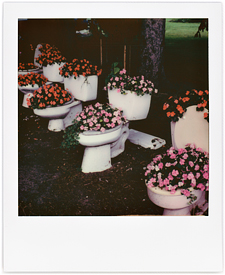 Toilet Flowerpots #2