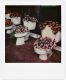 Toilet Flowerpots #1
